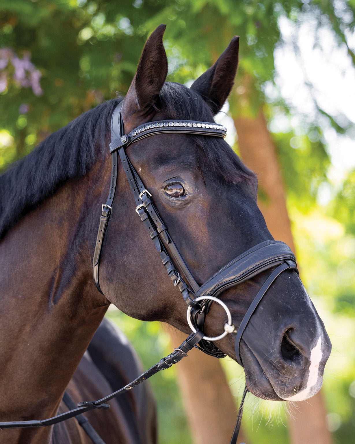 Halter Ego Doc Marten Snaffle Bridle