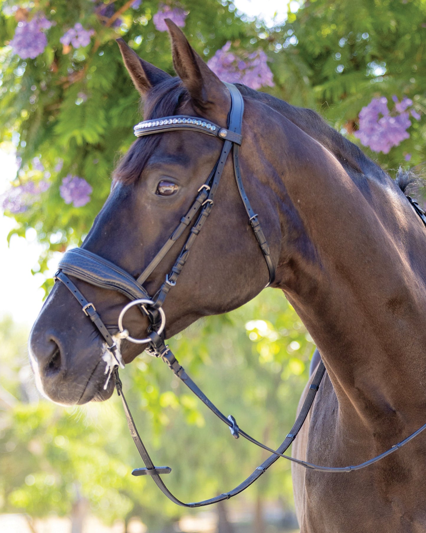 Halter Ego Doc Marten Snaffle Bridle