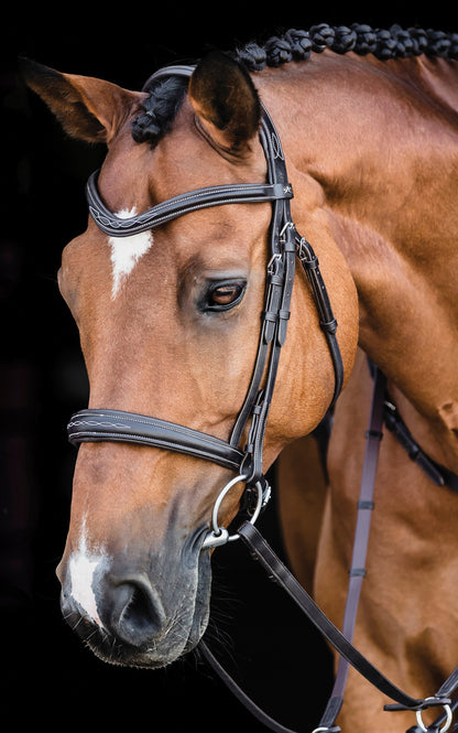 Schockemöhle Monza Fancy Stitched Bridle