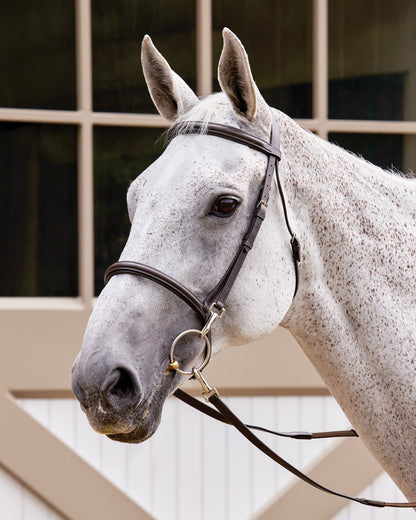 Suffolk Training Bridle