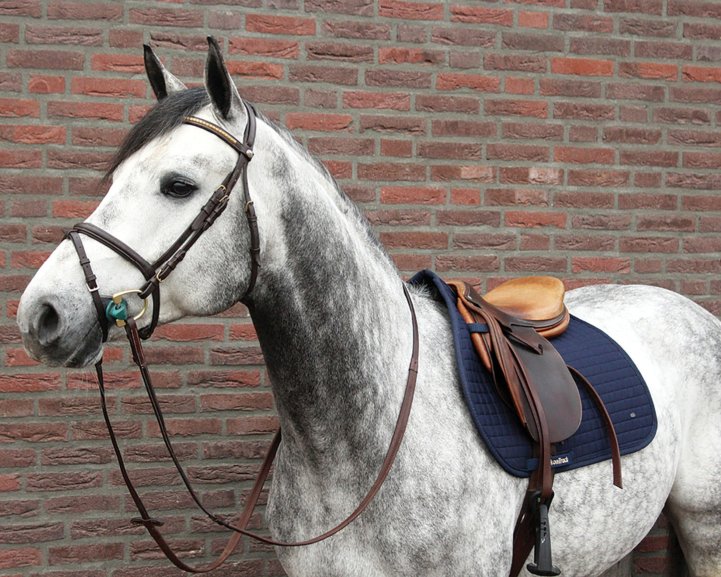 Back on Track All-Purpose Saddle Pad