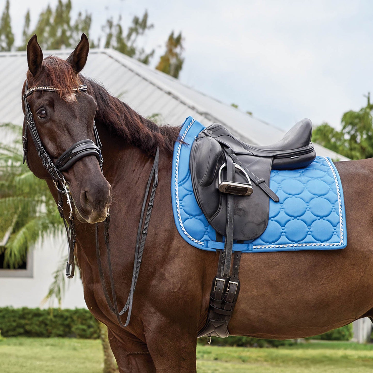 Rider’s International Luxury Dressage Pad