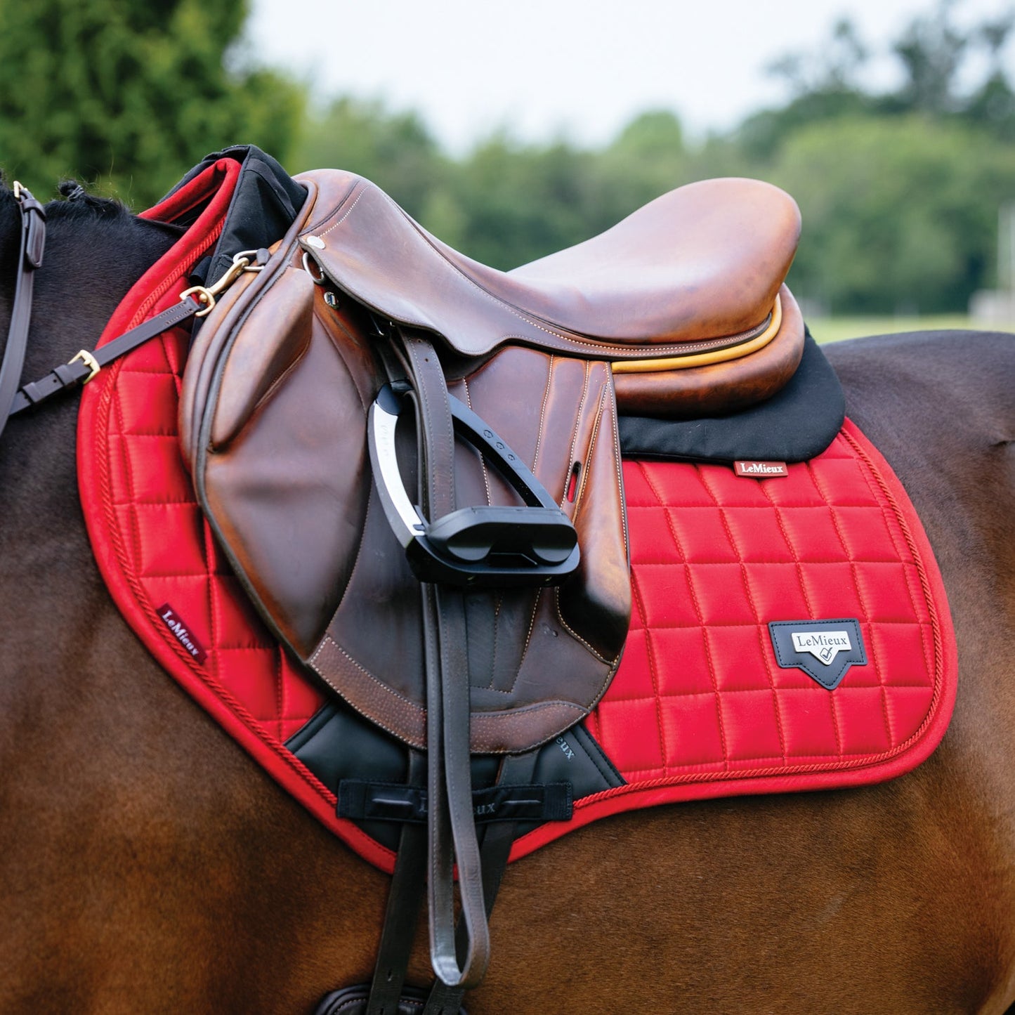 LeMieux Loire Satin Classic Close Contact Saddle Pad