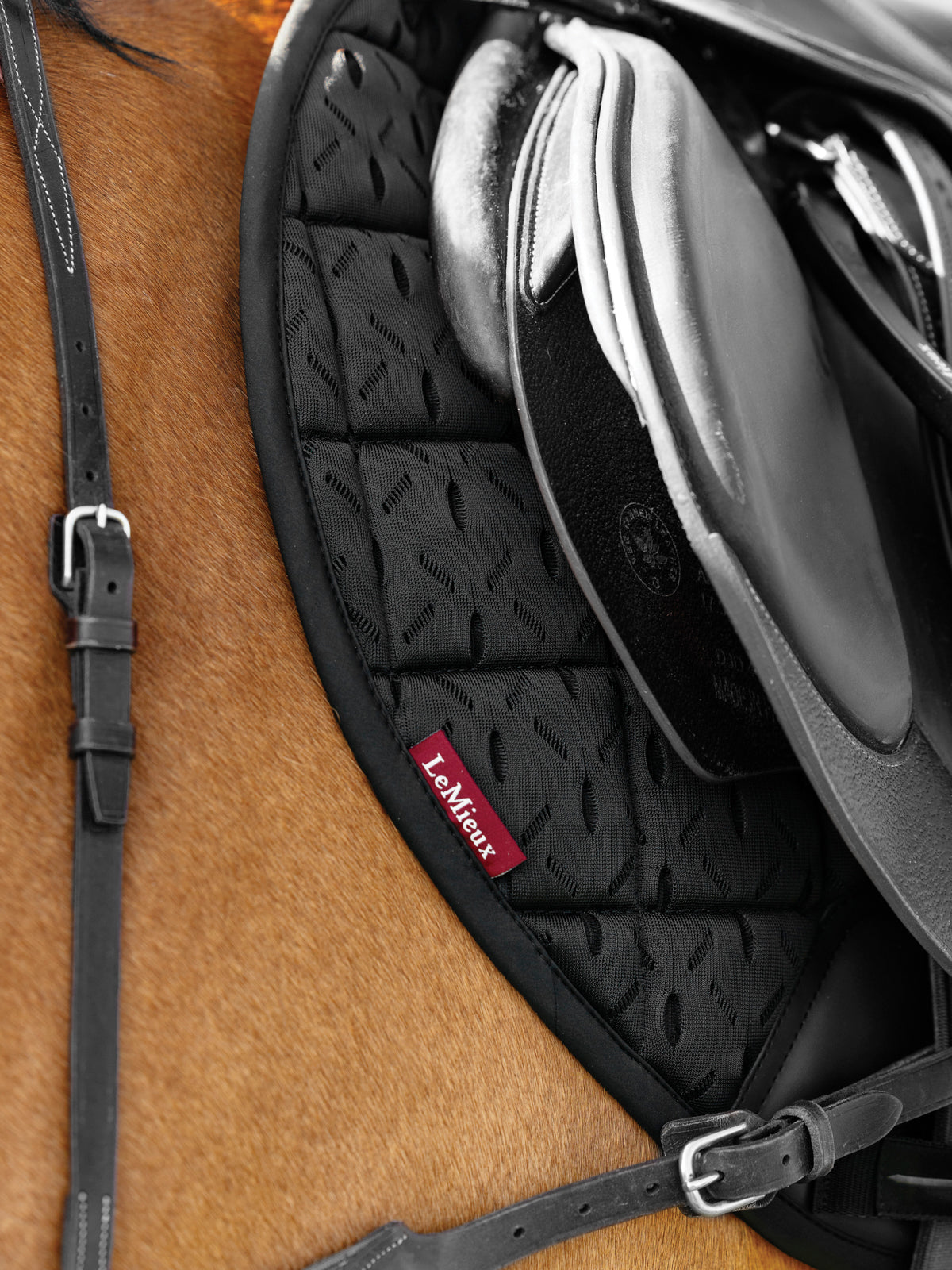LeMieux 3D Mesh Self-Cool Eurojump Saddle Pad