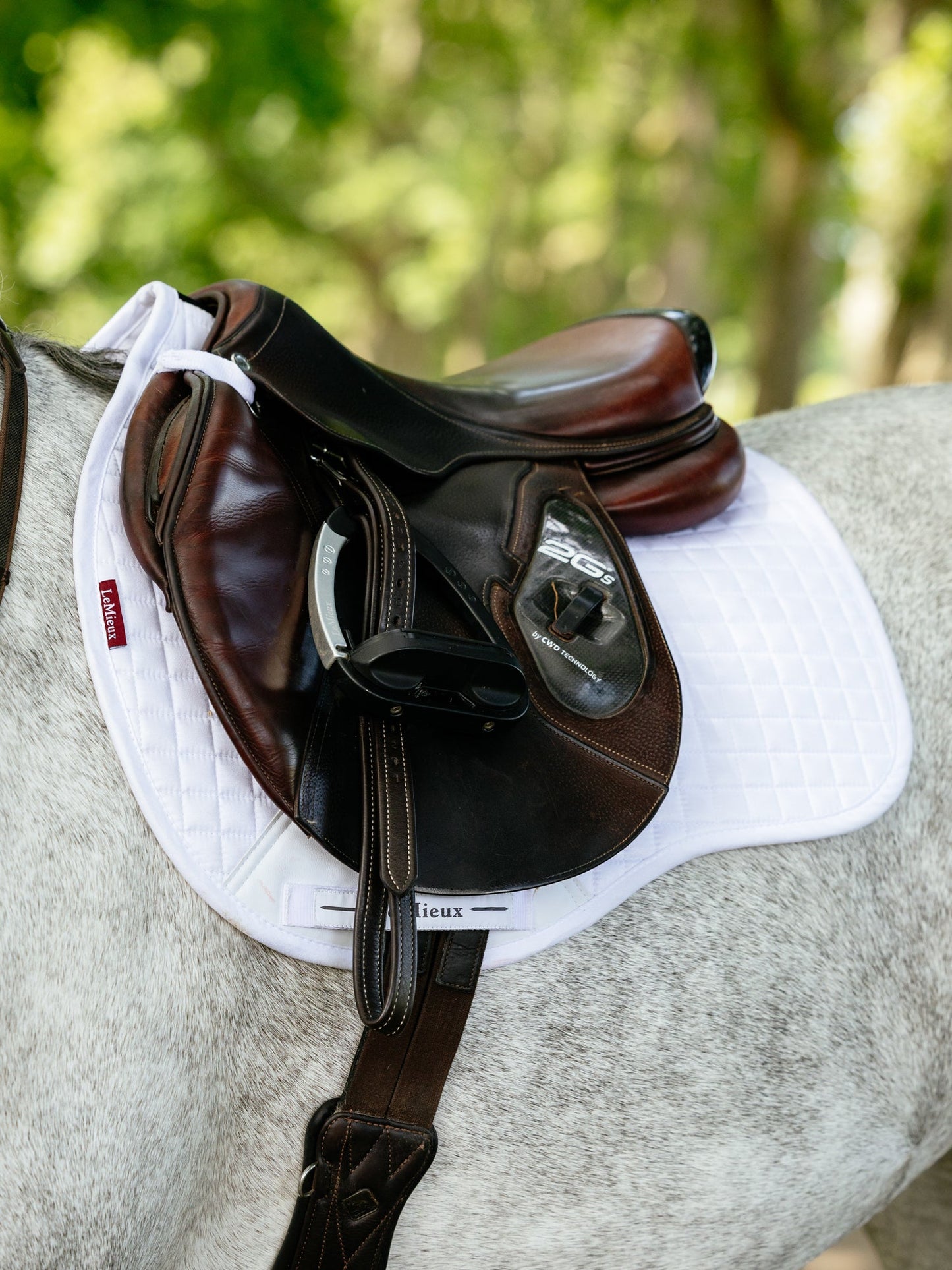 LeMieux Suede GP Saddle Pad