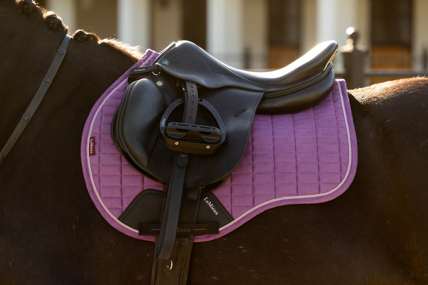 LeMieux Suede GP Saddle Pad