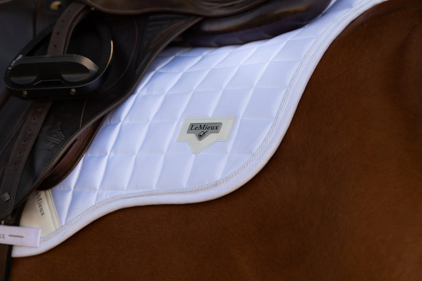 LeMieux Loire GP Saddle Pad