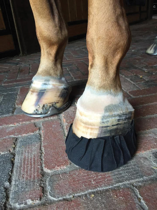EquiFit Pack-N-Stick HoofTape - 6 pack