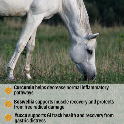 Bute-Less Performance Comfort & Recovery Pellets