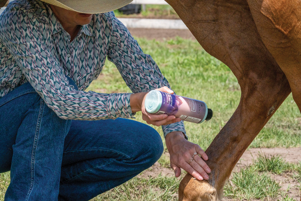 Equiderma Skin Lotion