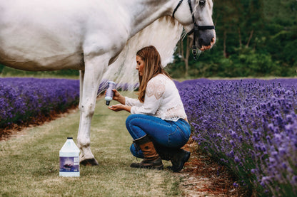 Equiderma Skin Lotion