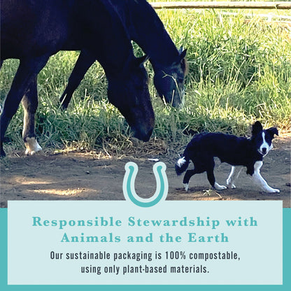 Withers & Withers Sugar-Free Peppermint/Marshmallow Nutra-Treats for Horses