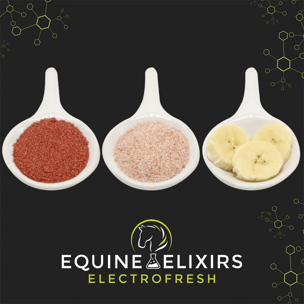 Equine Elixirs Electrofresh