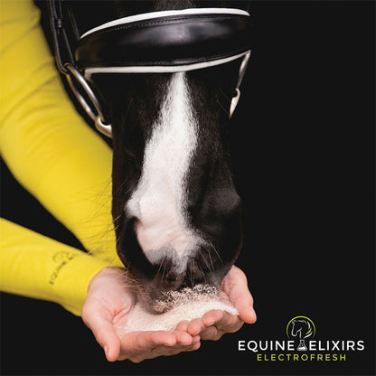 Equine Elixirs Electrofresh
