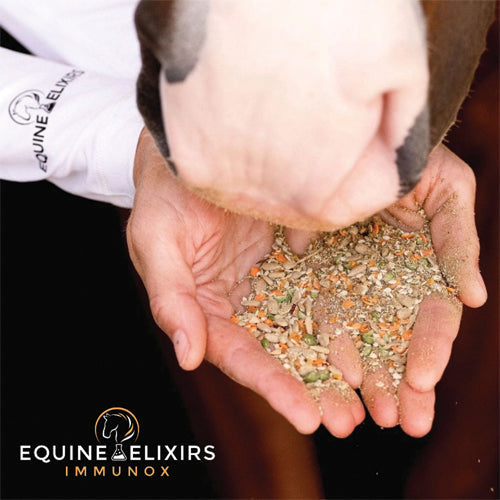 Equine Elixirs Immunox