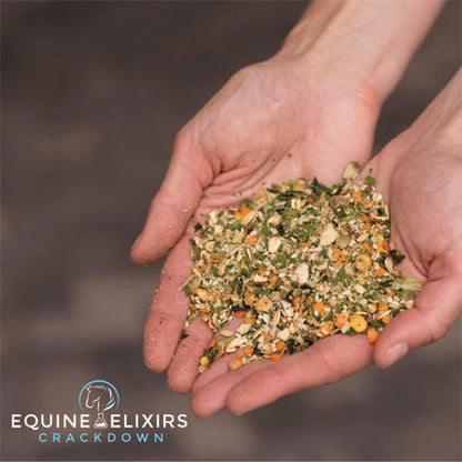 Equine Elixirs Crackdown