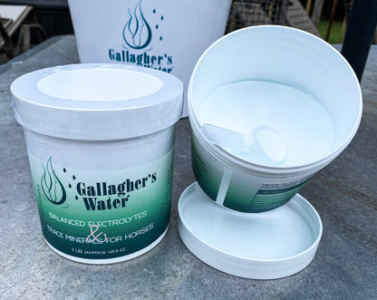 Gallagher’s Water Balanced Electrolytes & Trace Minerals