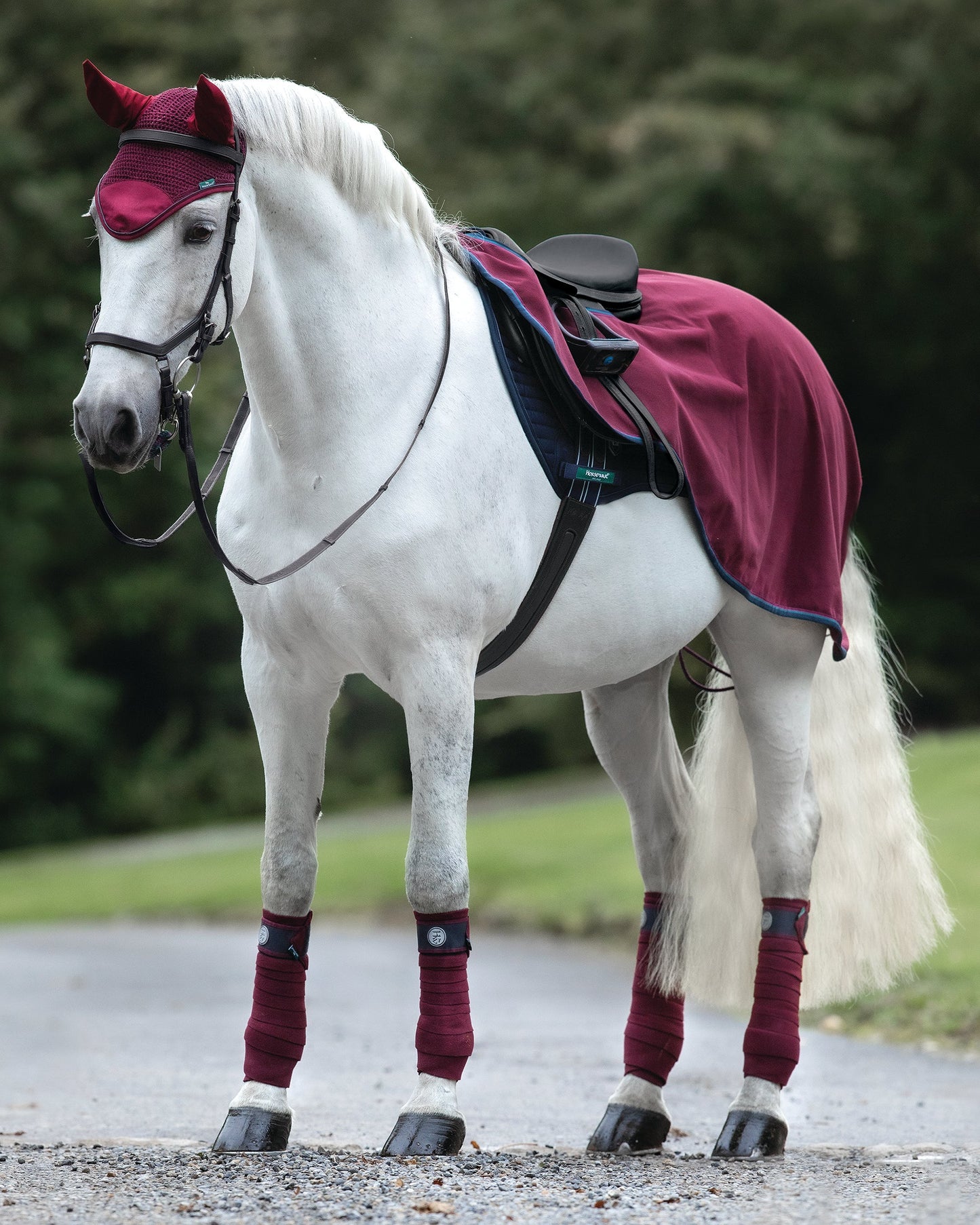 Rambo Waterproof Fleece Competition Sheet