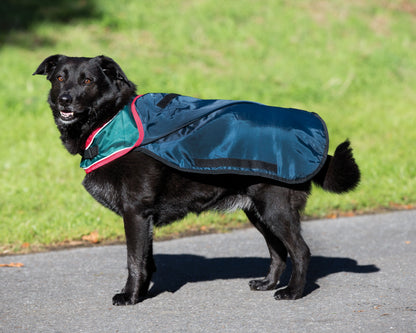 Waterproof Dog Blanket