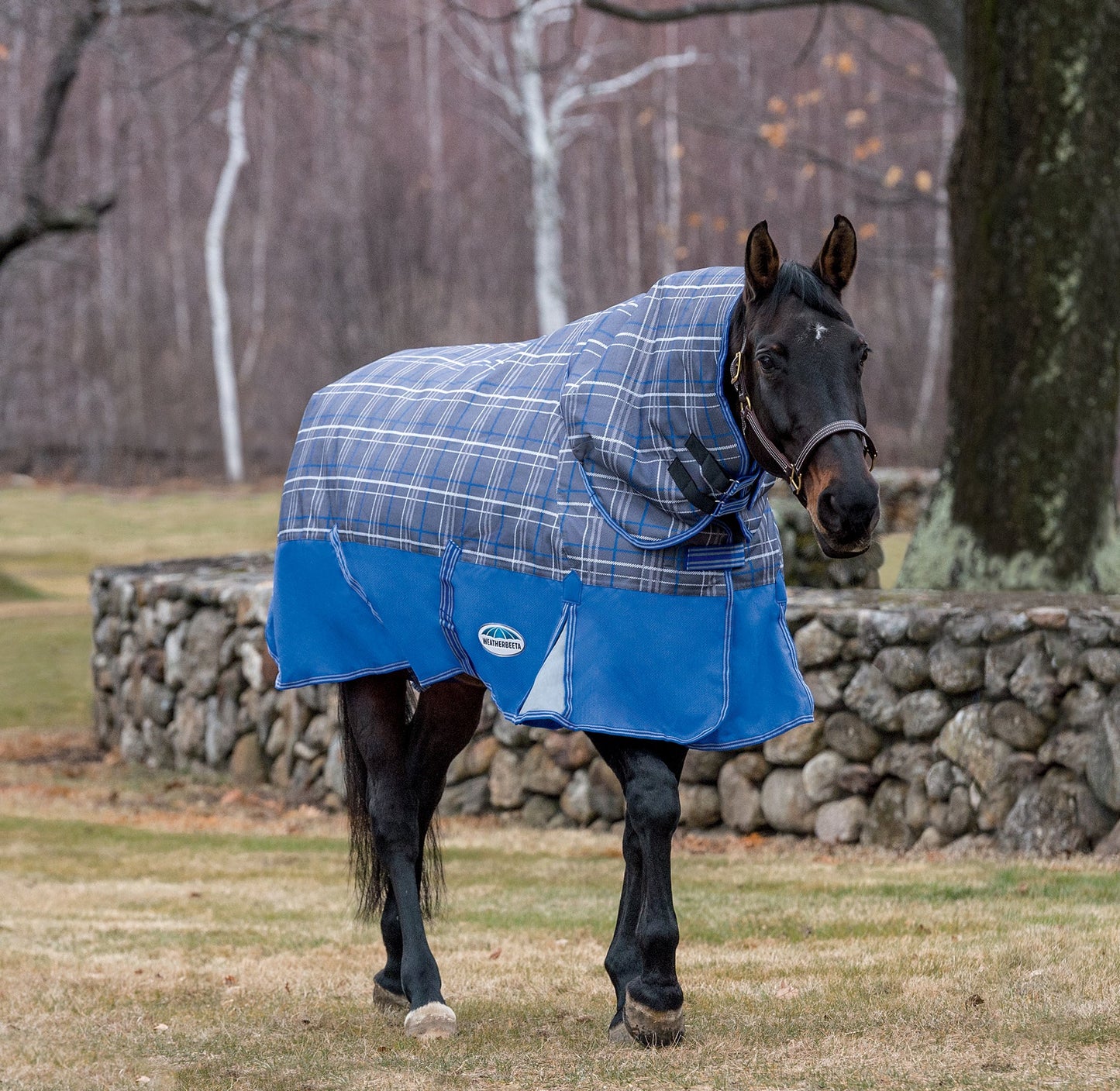 WeatherBeeta ComFiTec Free Standard Neck Medium Weight Turnout Blanket
