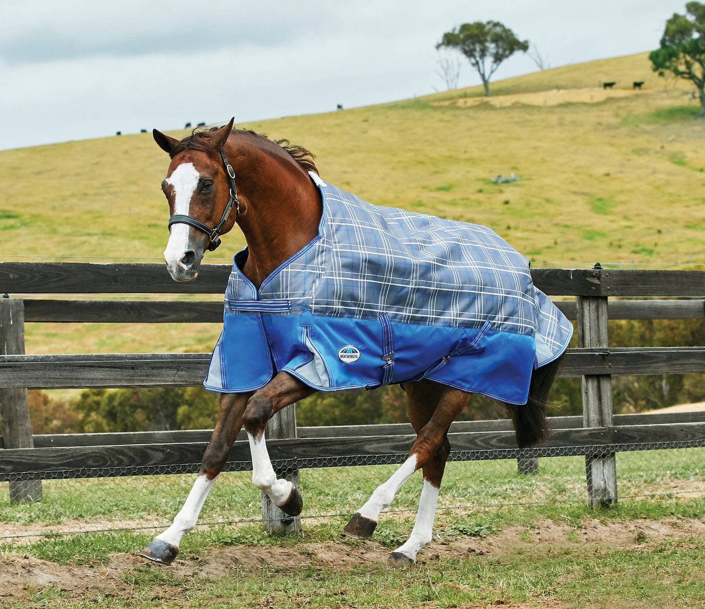 WeatherBeeta Free Standard Neck Turnout Sheet
