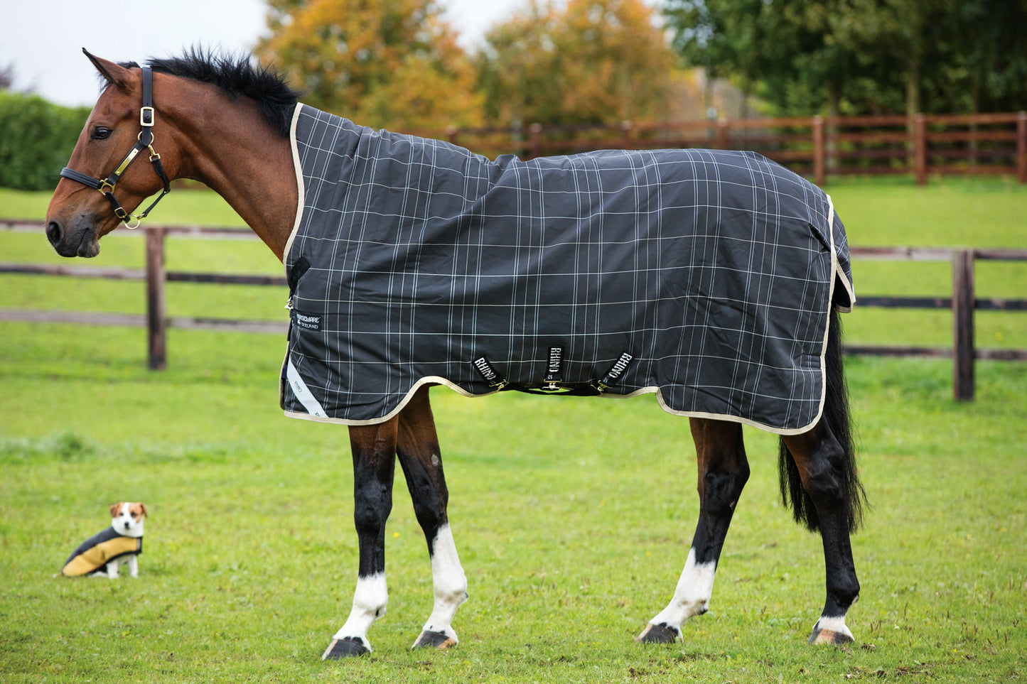 Horseware Ireland Rhino Medium-Weight Wug with Vari-Layer