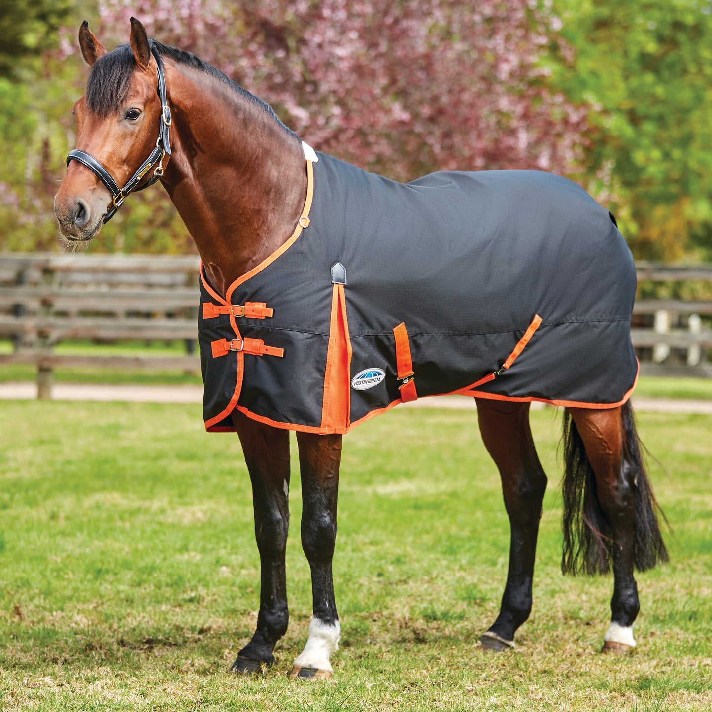 WeatherBeeta ComFiTec Essential Solid Medium Weight Turnout Blanket
