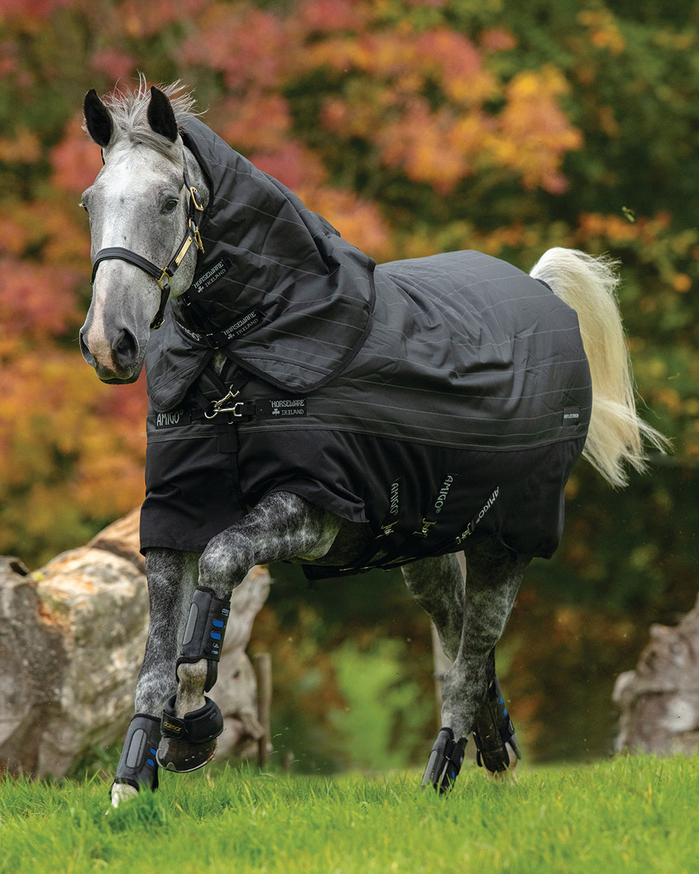 Horseware Ireland Amigo Bravo 12 Plus Reflectech Turnout Medium-Weight Blanket