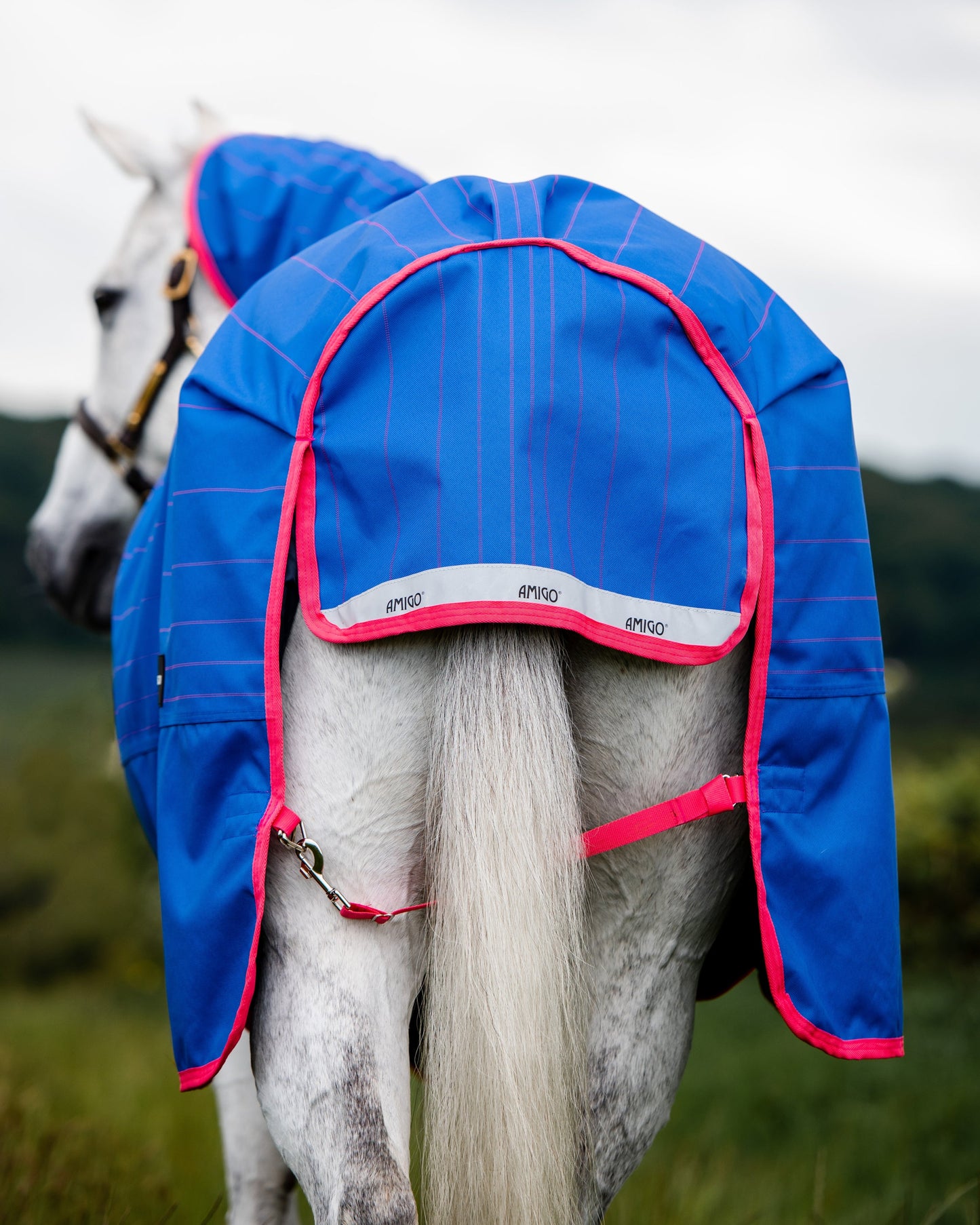 Horseware Ireland Amigo Bravo 12 Plus Reflectech Turnout Medium-Weight Blanket