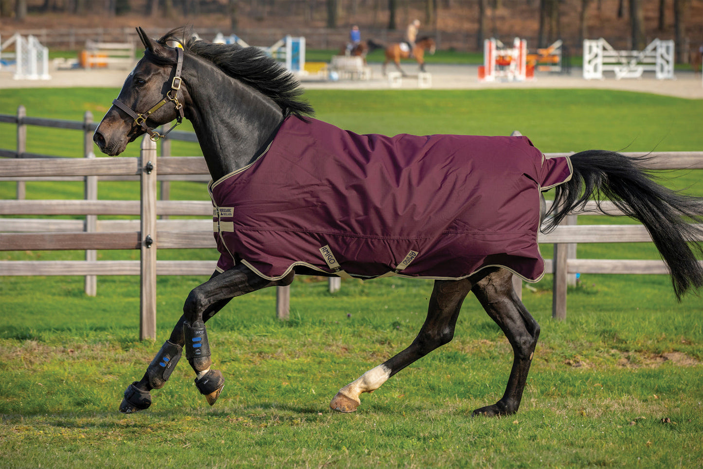 Horseware Ireland Amigo Hero RipStop Lite Turnout - 100 grams