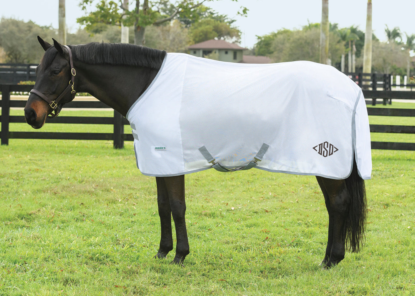 Rider’s International Fly Sheet