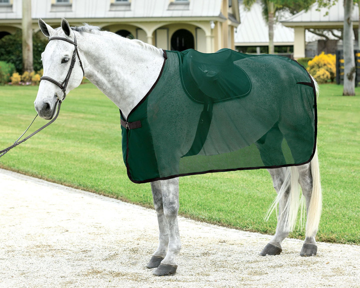 Rider’s International Ringside Scrim Sheet
