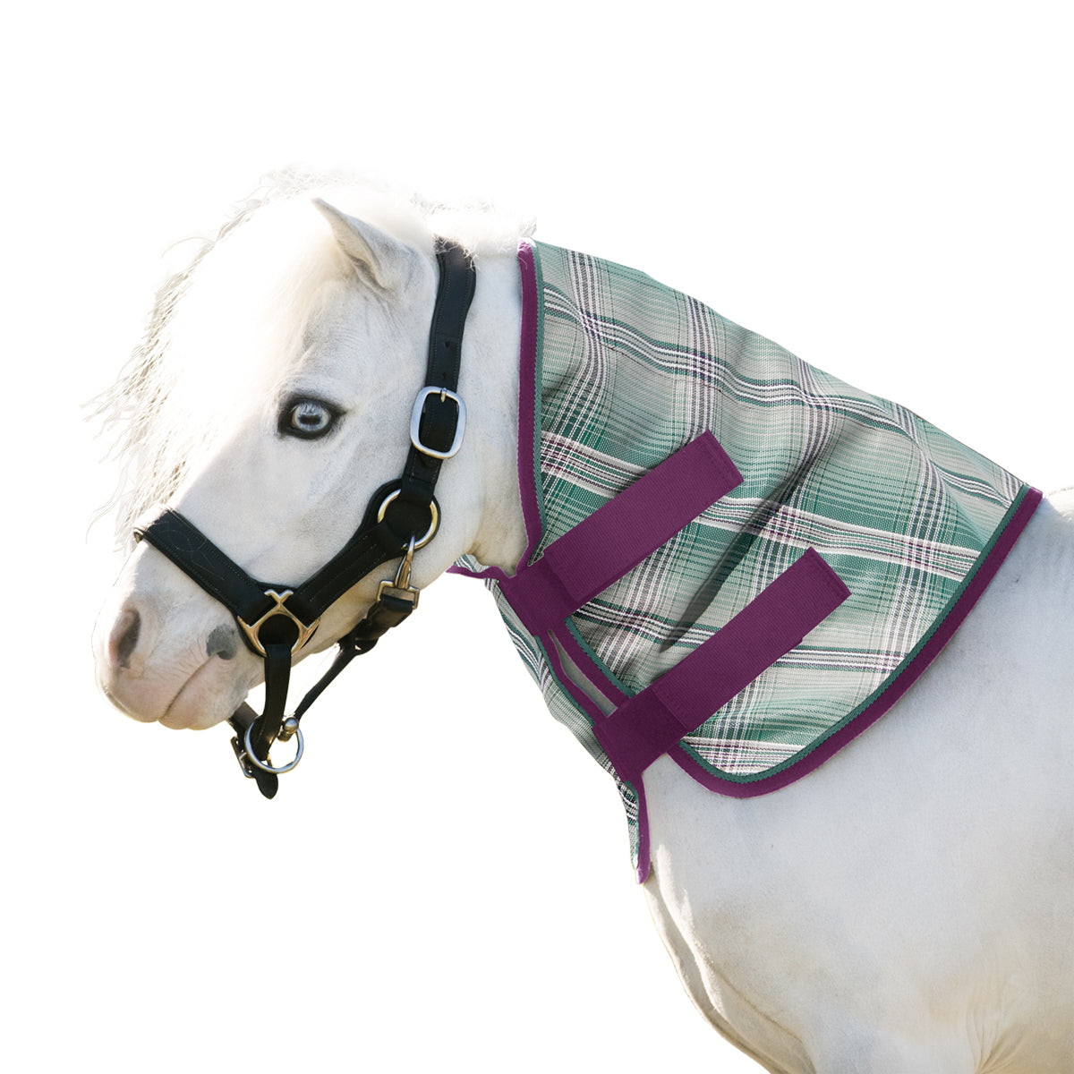 Kensington Mini Protective Neck Cover