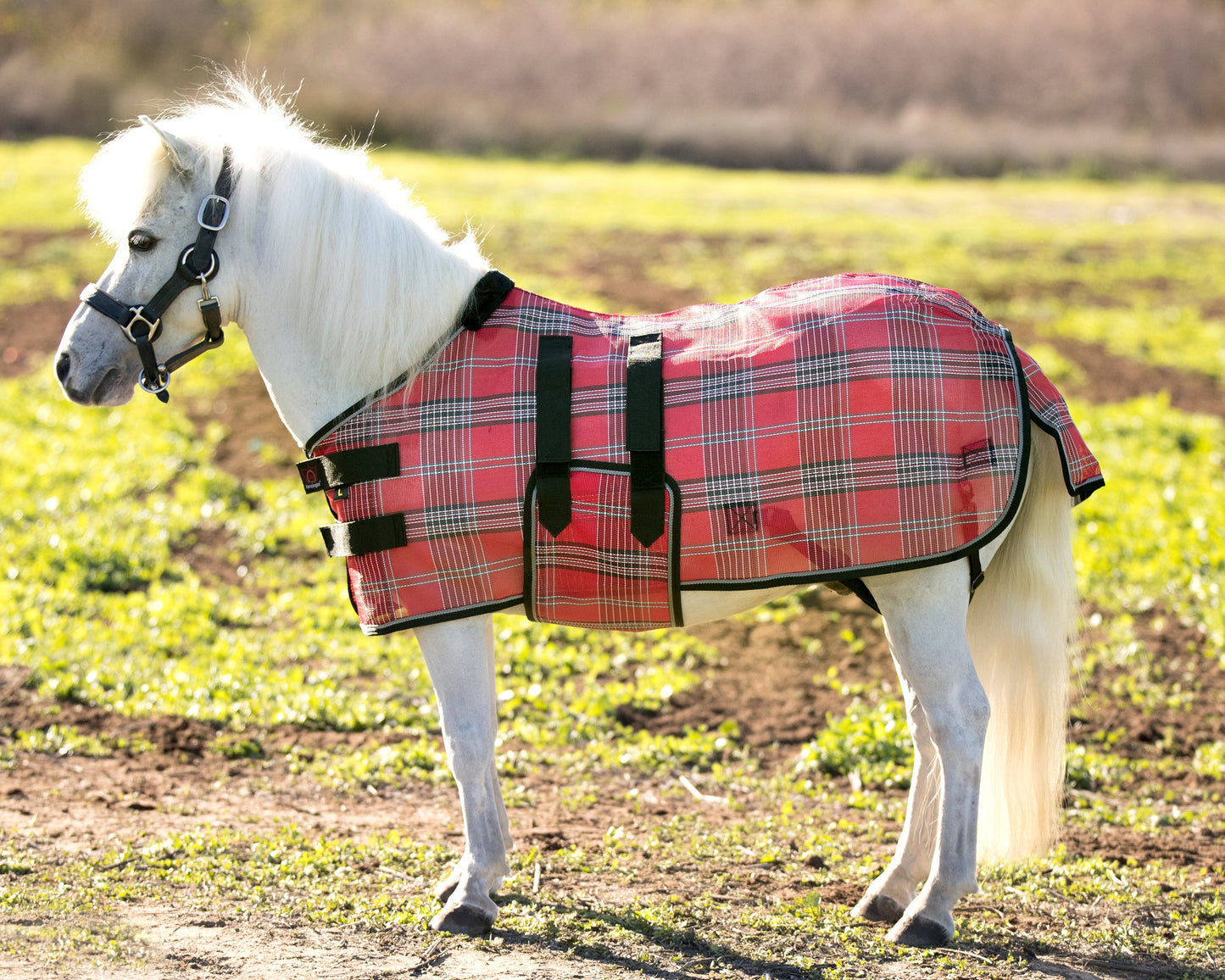 Kensington Mini Signature Textilene Protective Fly Sheet