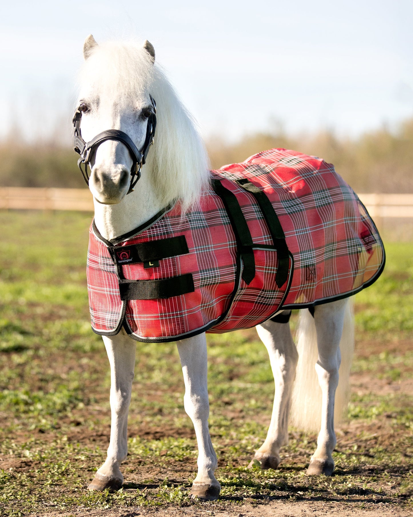 Kensington Mini Signature Textilene Protective Fly Sheet