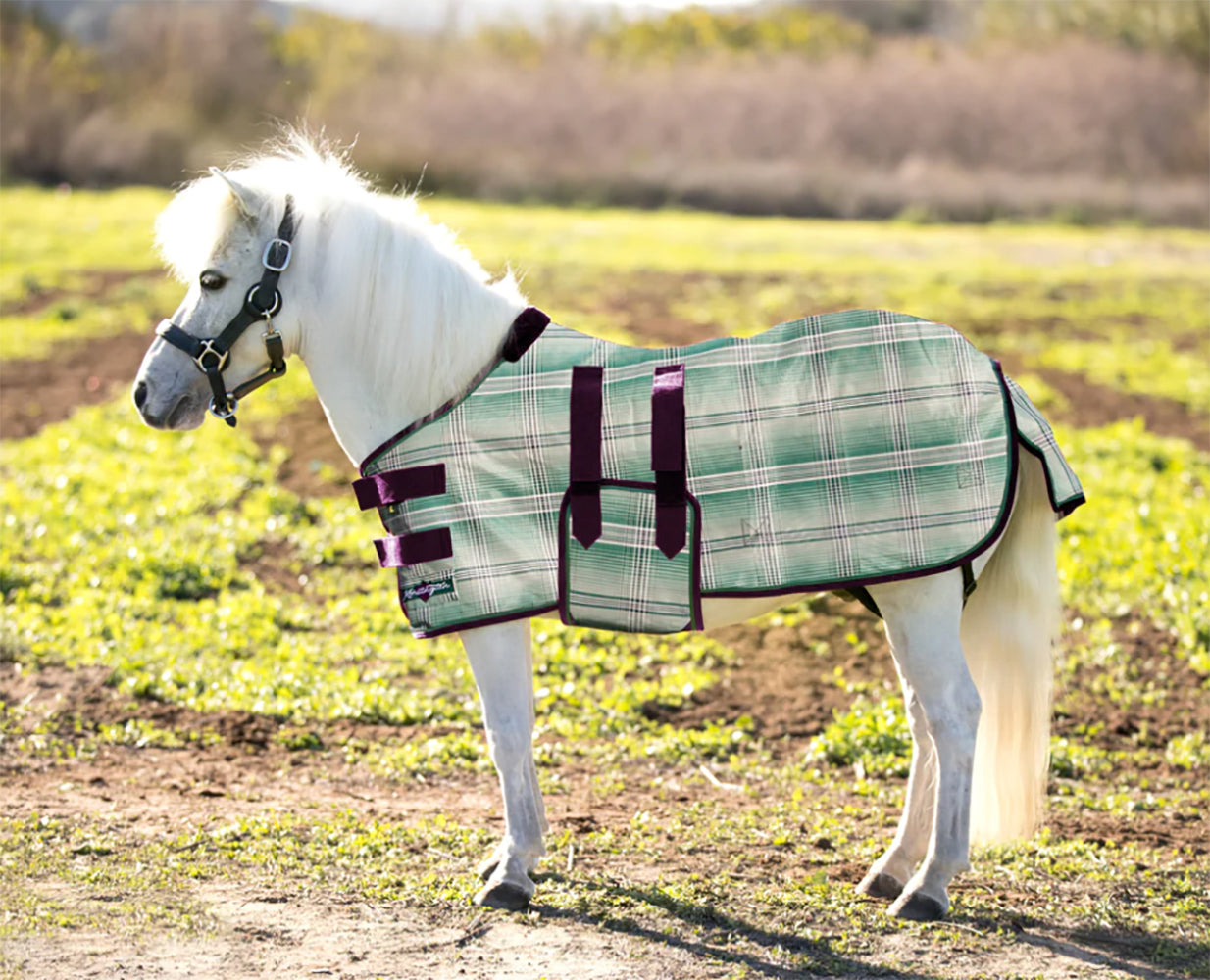 Kensington Mini Signature Textilene Protective Fly Sheet