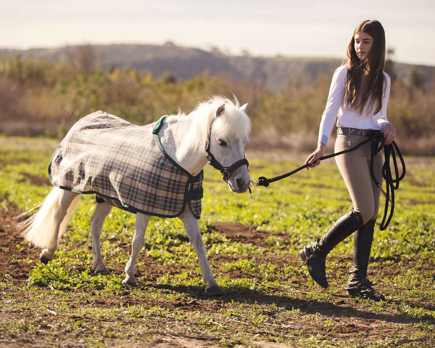 Kensington Mini Signature Textilene Protective Fly Sheet