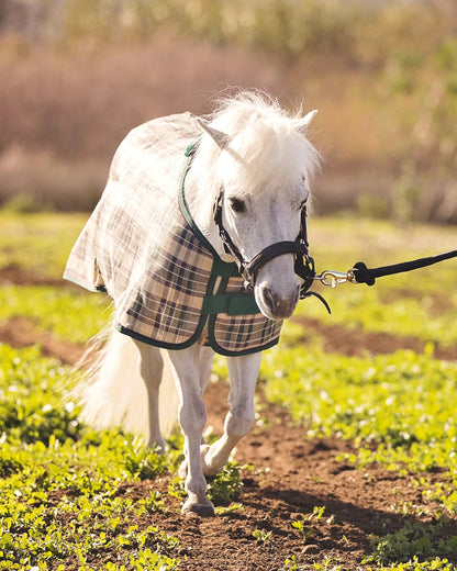 Kensington Mini Signature Textilene Protective Fly Sheet