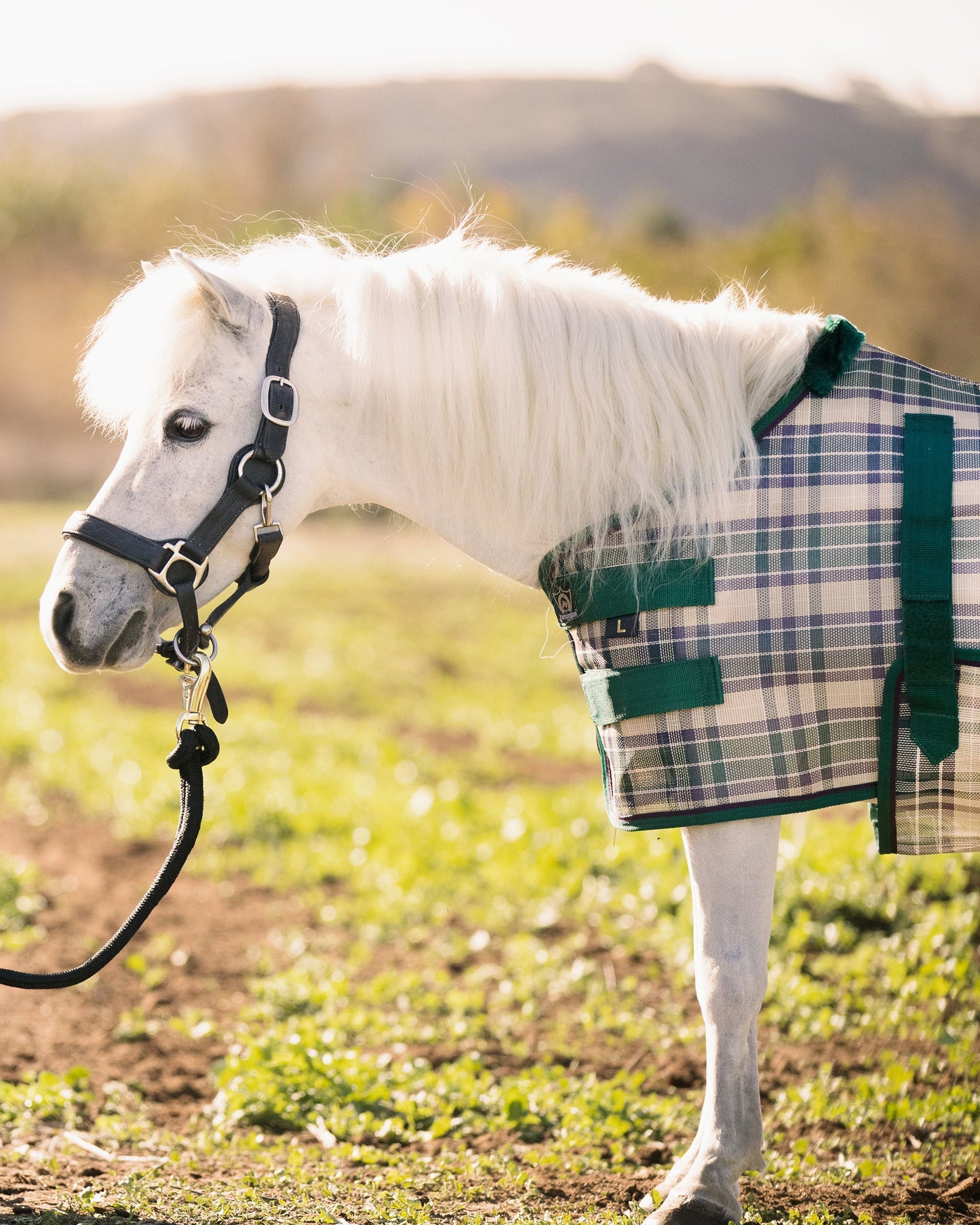 Kensington Mini Signature Textilene Protective Fly Sheet