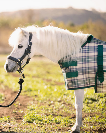 Kensington Mini Signature Textilene Protective Fly Sheet