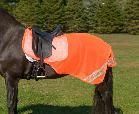 Shires Equi-Flector Exercise Sheet