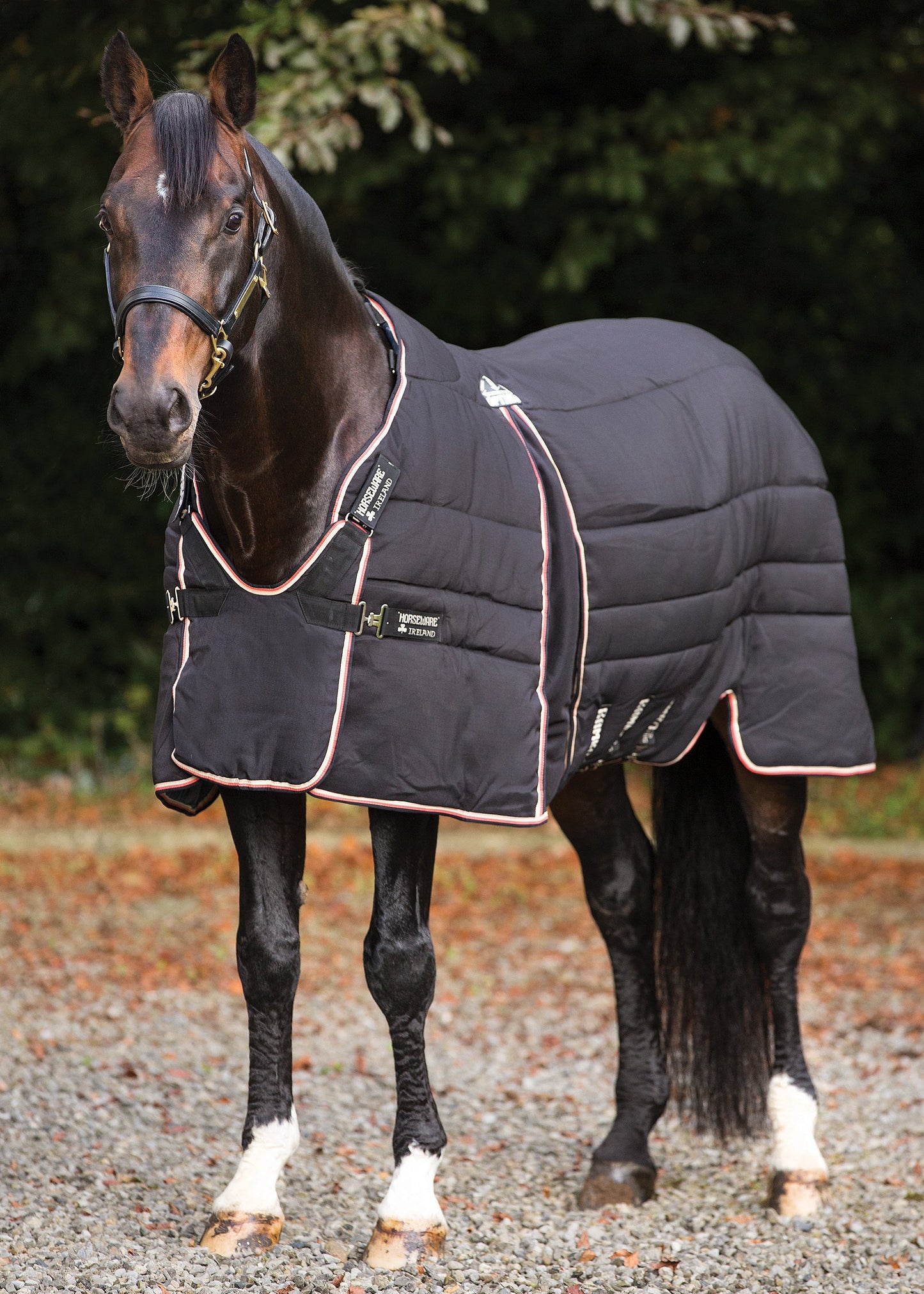 Horseware Rambo Optimo Heavyweight Stable Blanket