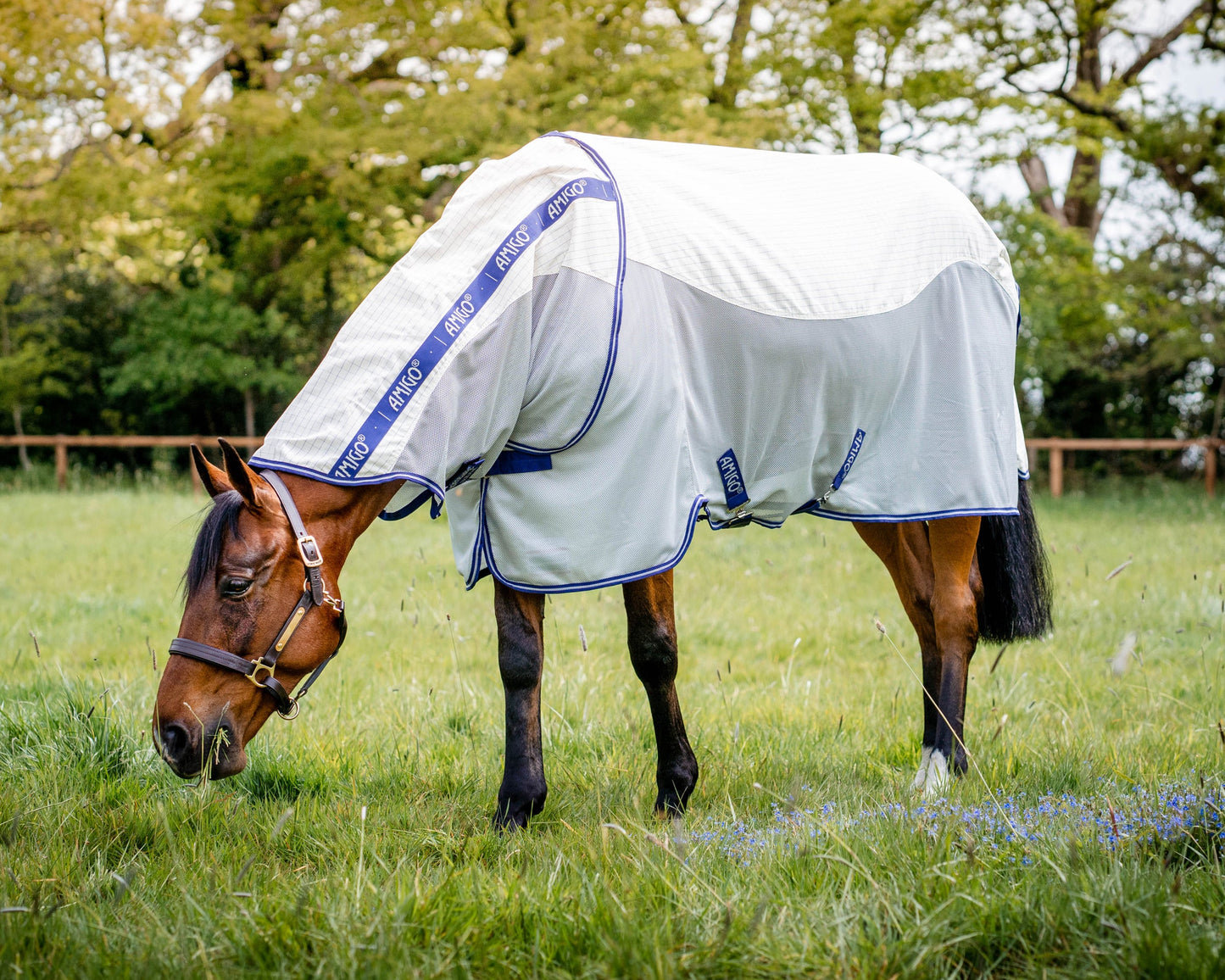 Horseware Amigo Airflow Sheet