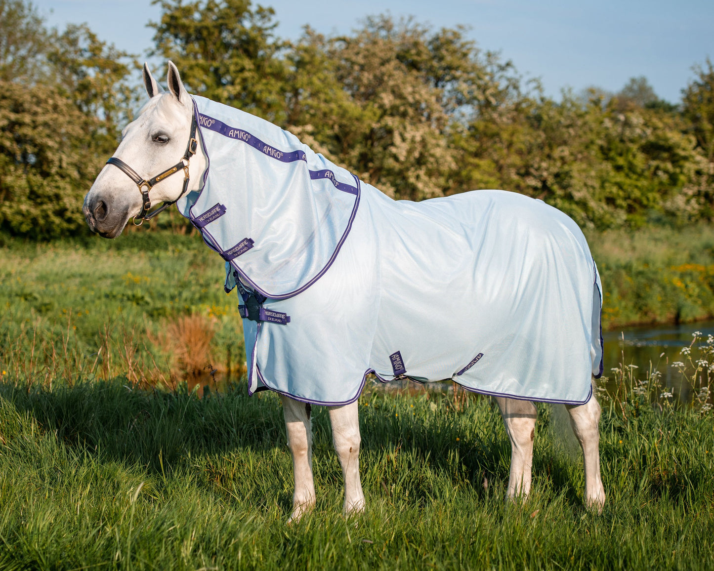 Horseware Amigo XL Bug Rug
