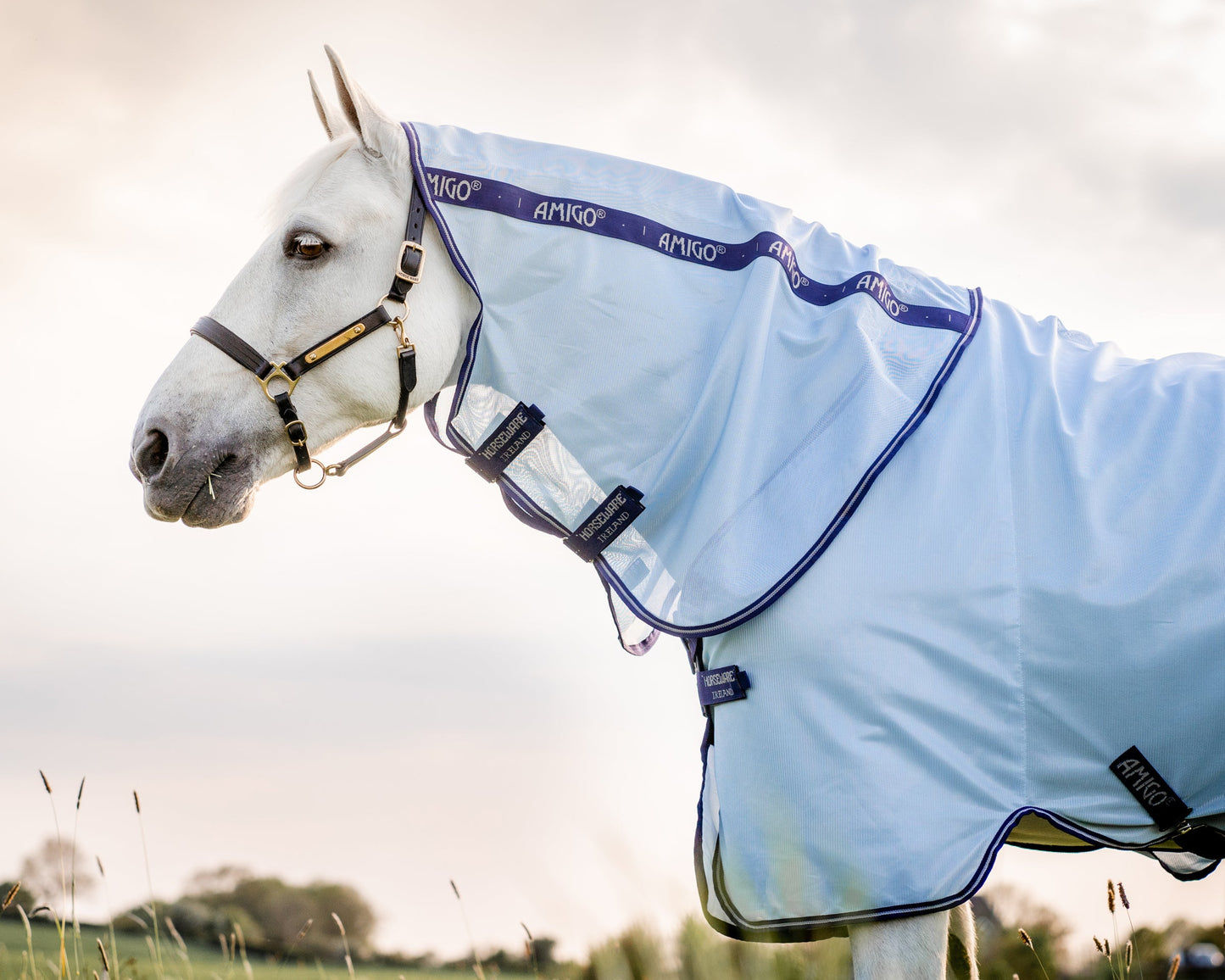 Horseware Amigo XL Bug Rug