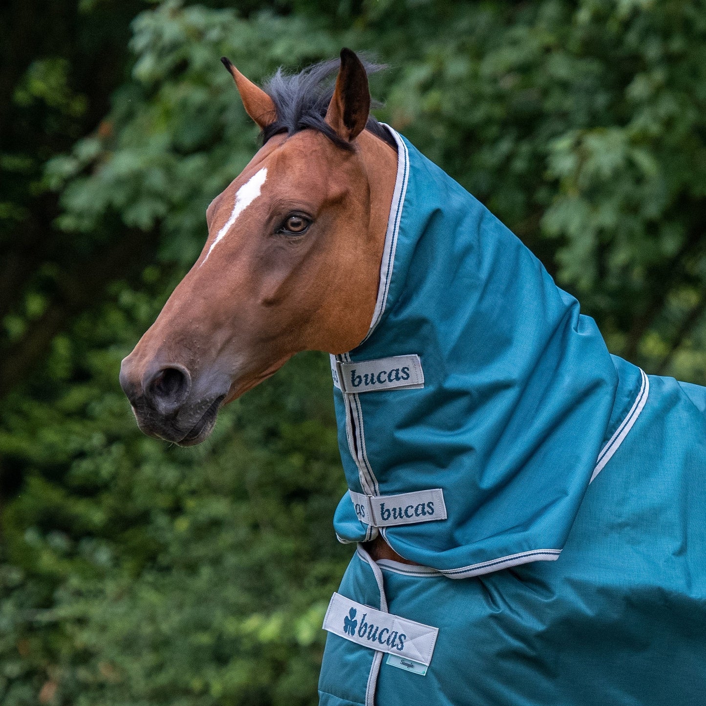 Bucas Atlantic 50 Gram Turnout Blanket