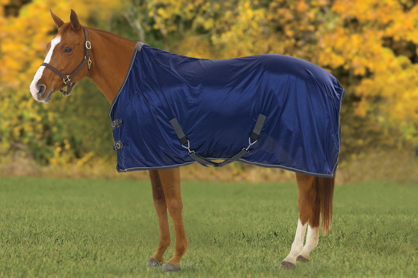 Athletic Airflex Stable Sheet
