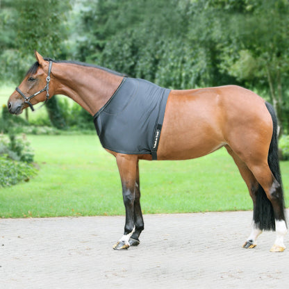 Back on Track Therapeutic Equine Shoulder Guard with Pads