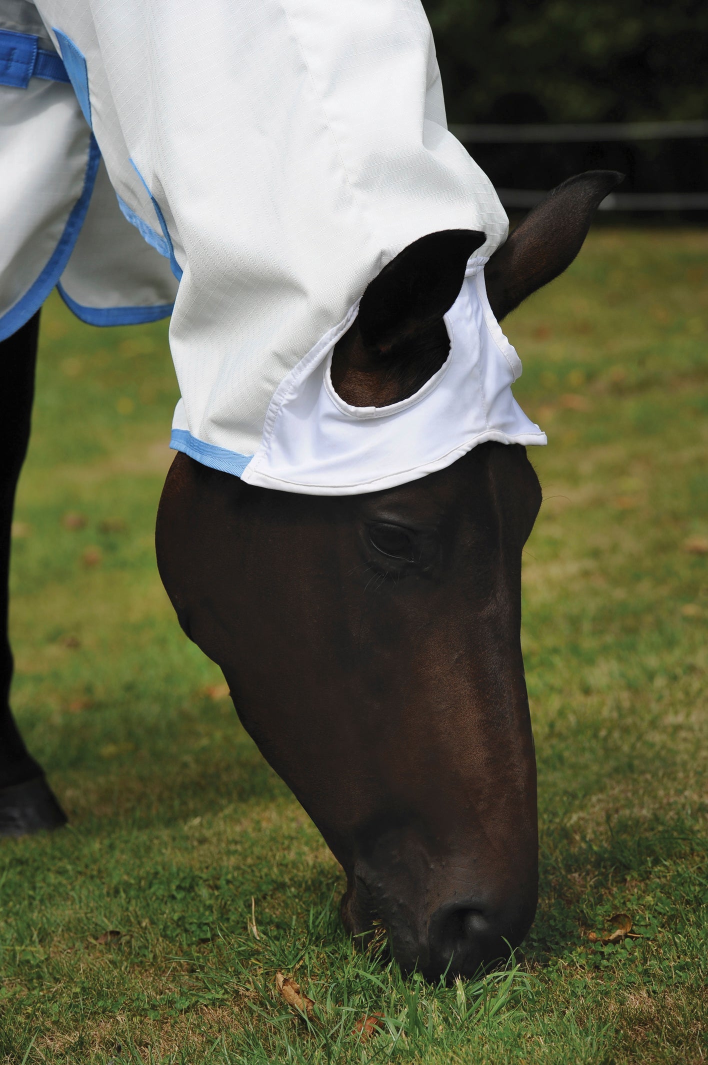 WeatherBeeta Sweet Itch Shield with Combo Neck