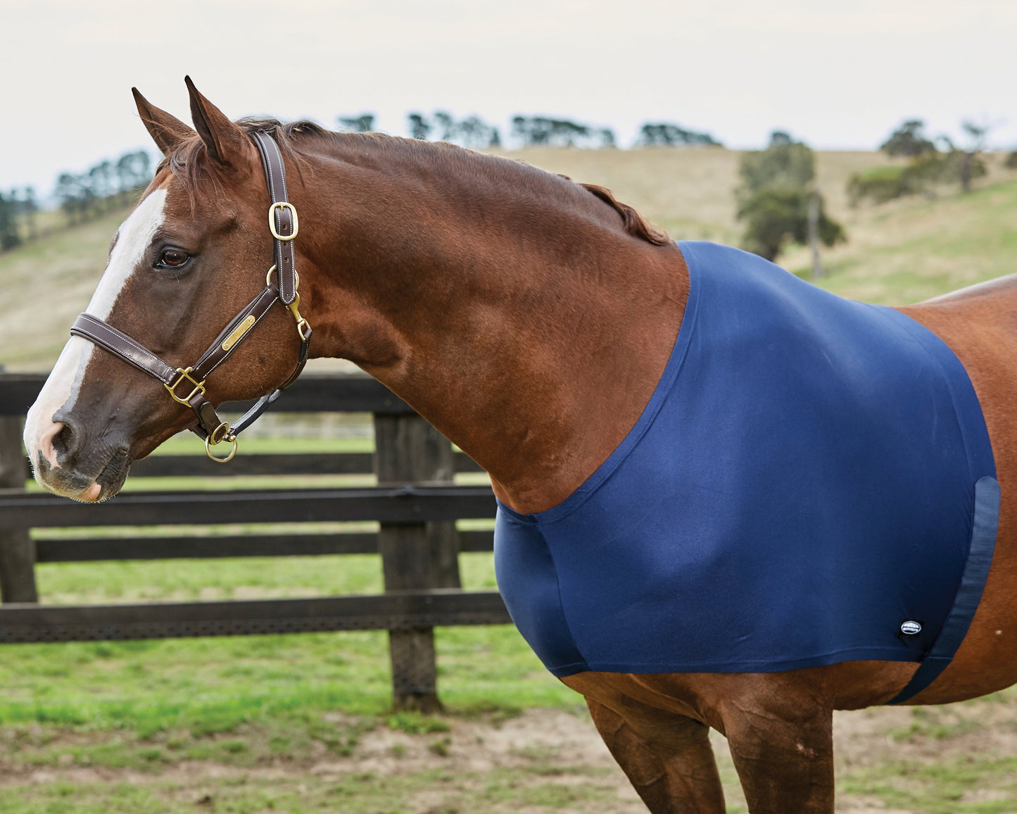 WeatherBeeta Stretch Shoulder Guard